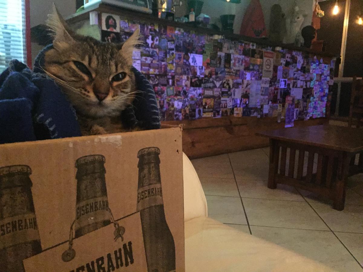 Vidigal Hostel Bar 里约热内卢 外观 照片